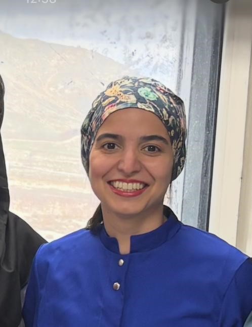 مینا خدام فینی